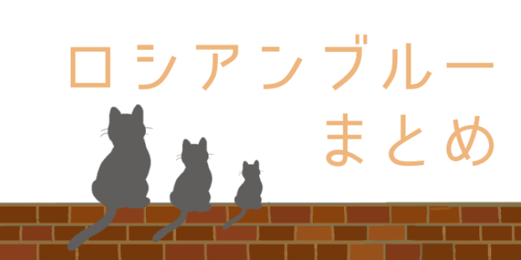 アッシュブルーな毛並みロシアンブルー美しい！